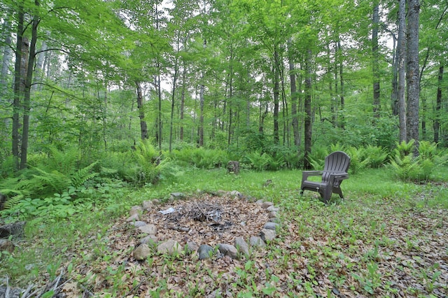 19489 Blue Ln E, Emily, MN 56447 - view of yard with a fire pit and a view of trees