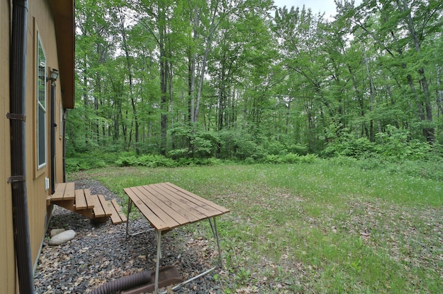 19489 Blue Ln E, Emily, MN 56447 - view of yard featuring a forest view