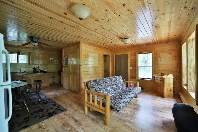 19489 Blue Ln E, Emily, MN 56447 - living area with light wood-style floors, a baseboard heating unit, wood walls, ceiling fan, and wooden ceiling
