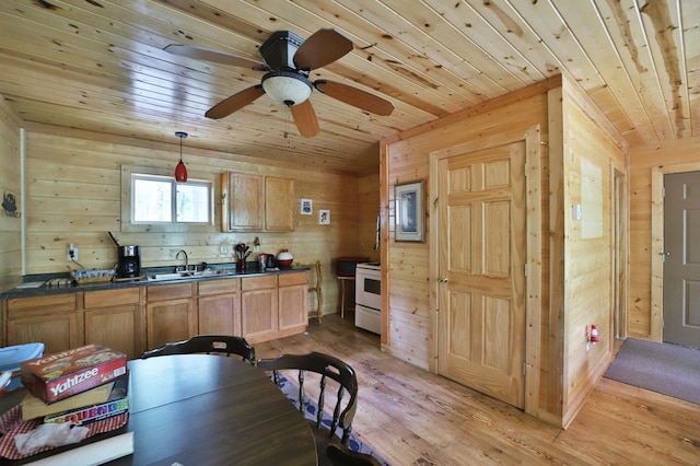 19489 Blue Ln E, Emily, MN 56447 - kitchen with dark countertops, wood ceiling, wood walls, light wood-type flooring, and a sink