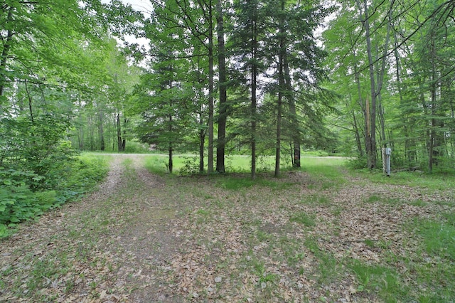 19489 Blue Ln E, Emily, MN 56447 - view of yard with a view of trees