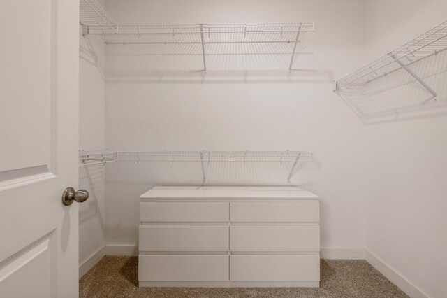 19236 Grass Lake Trl, Rogers, MN 55374 - walk in closet featuring carpet flooring