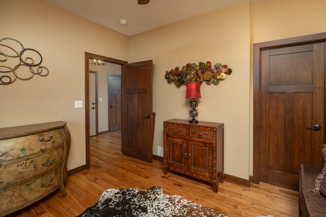 2238 Marvs Ln NE, Stewartville, MN 55976 - hall with light wood finished floors and baseboards