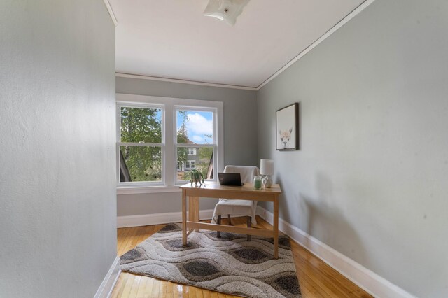 5232 Tioga St, Duluth, MN 55804 - home office with light wood-style flooring, crown molding, and baseboards