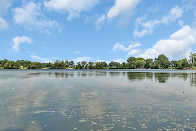565 Brooks Lake Rd NW, Cokato, MN 55321 - water view