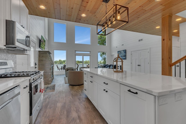 565 Brooks Lake Rd NW, Cokato, MN 55321 - kitchen with stainless steel appliances, wooden ceiling, open floor plan, recessed lighting, and white cabinetry