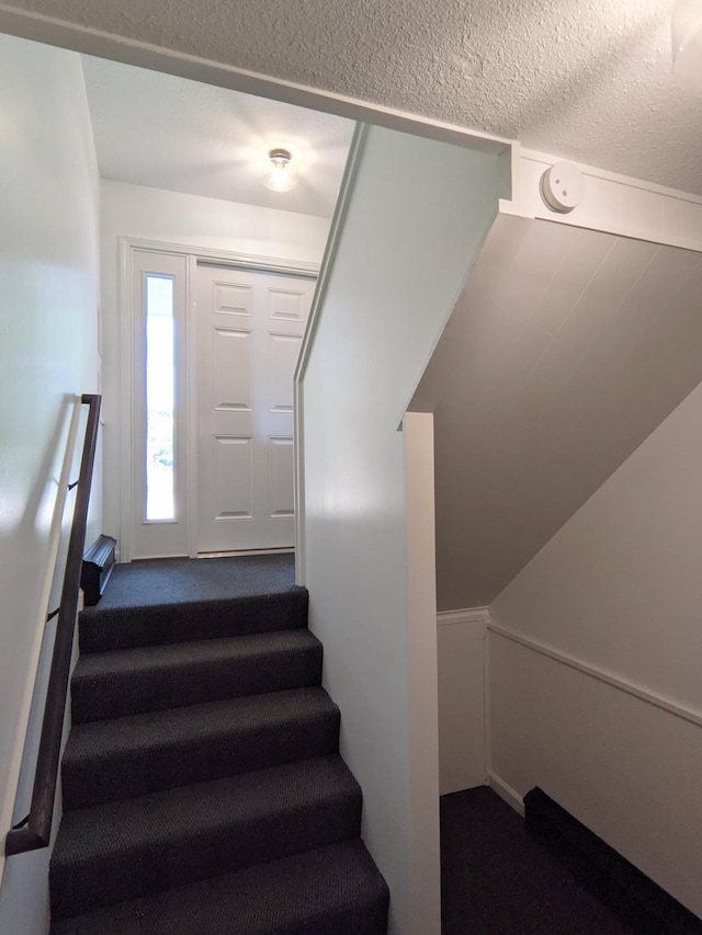 1101 Spring Creek Rd, Northfield, MN 55057 - staircase with carpet floors and a textured ceiling
