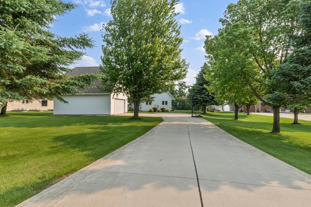 13771 Schuelke Beach Rd NW, Leaf Valley Twp, MN 56354 - view of front facade with a front lawn, a shingled roof, and concrete driveway