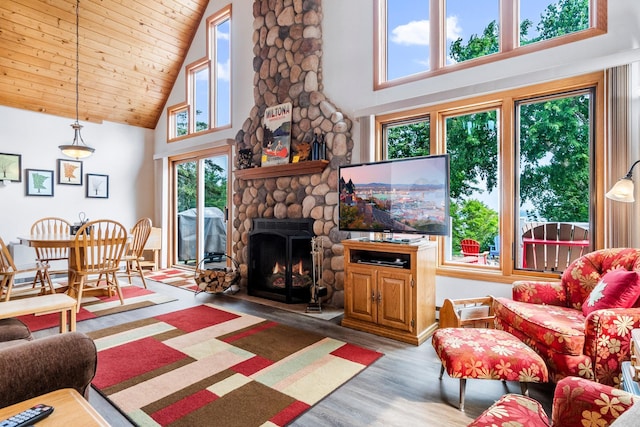 13771 Schuelke Beach Rd NW, Leaf Valley Twp, MN 56354 - living room with high vaulted ceiling, wood finished floors, a stone fireplace, and wooden ceiling