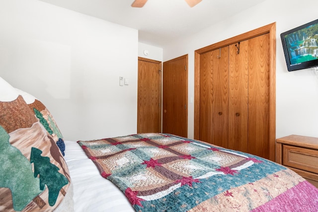 13771 Schuelke Beach Rd NW, Leaf Valley Twp, MN 56354 - bedroom featuring two closets and ceiling fan