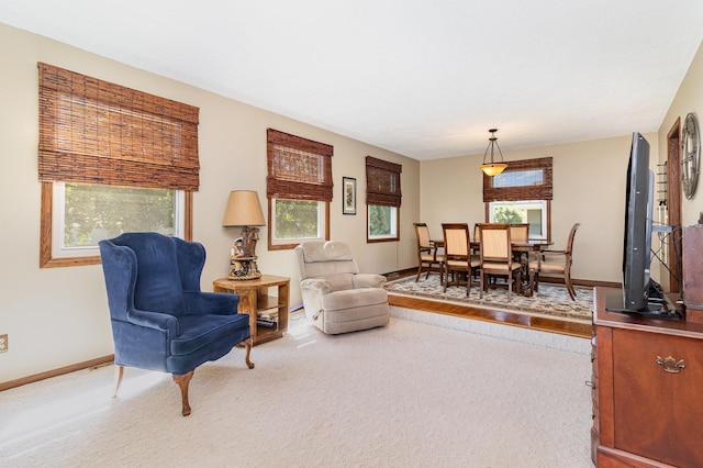 3013 Bluffs Dr, Mound, MN 55364 - photo 10