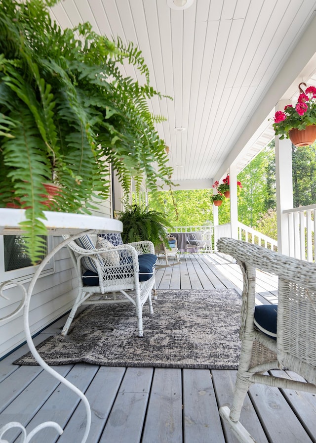 6220 Tischer Rd, Normanna Twp, MN 55804 - view of porch