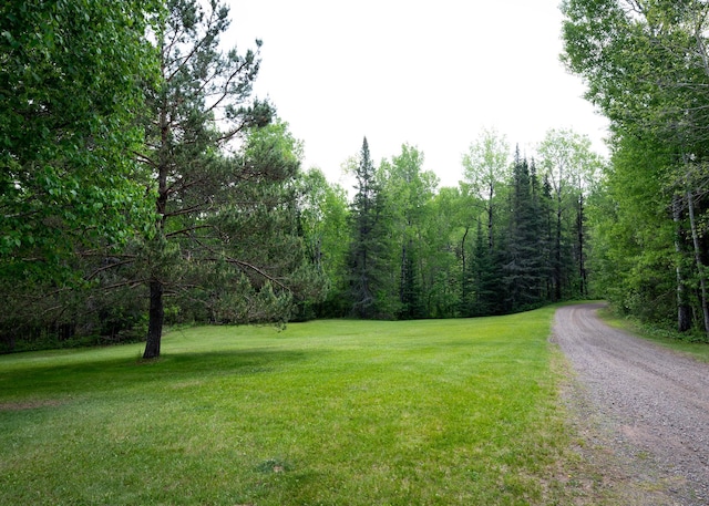 6220 Tischer Rd, Normanna Twp, MN 55804 - view of dirt / gravel road