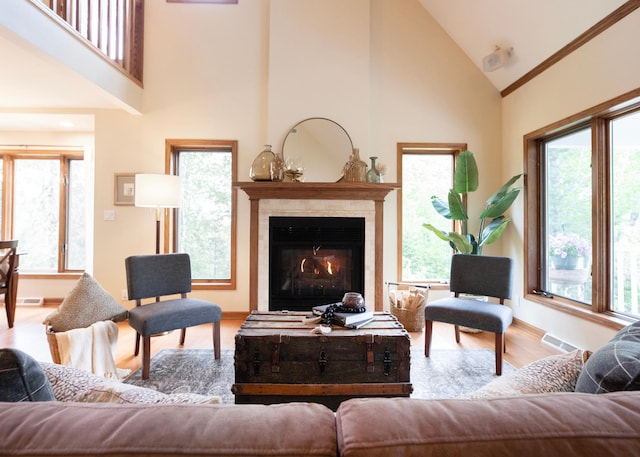 6220 Tischer Rd, Normanna Twp, MN 55804 - living area with high vaulted ceiling, wood finished floors, baseboards, and healthy amount of natural light