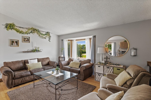 18125 Fillmore St NE, East Bethel, MN 55011 - living area with light wood finished floors and a textured ceiling