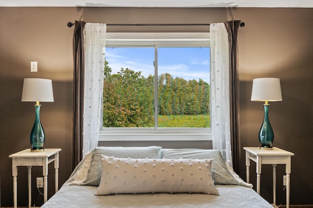 18125 Fillmore St NE, East Bethel, MN 55011 - view of bedroom
