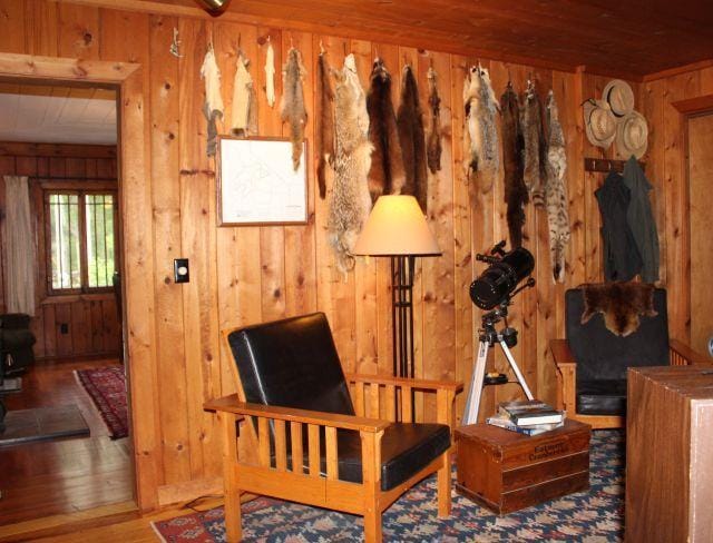 32704 310th Ln, Aitkin, MN 56431 - sitting room with wood walls and wood-type flooring