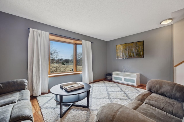 2436 Mendelssohn Ln N, Golden Valley, MN 55427 - living room with wood finished floors, baseboards, and a textured ceiling