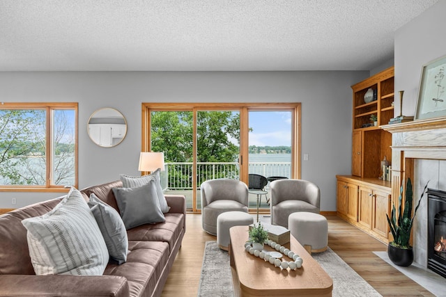 3868 Green Heights Trl SW, Prior Lake, MN 55372 - living area with a fireplace, plenty of natural light, a textured ceiling, and light wood finished floors