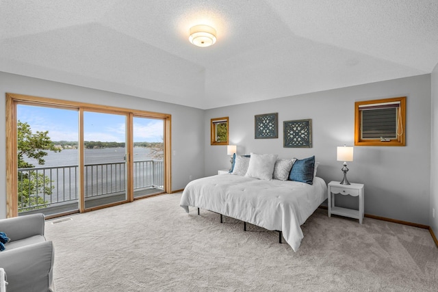 3868 Green Heights Trl SW, Prior Lake, MN 55372 - bedroom with access to outside, carpet, and a textured ceiling