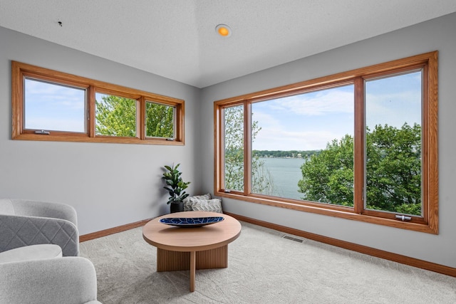 3868 Green Heights Trl SW, Prior Lake, MN 55372 - living area with carpet floors