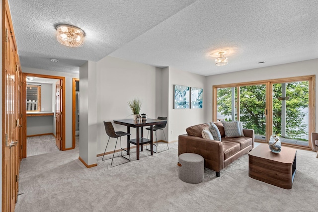 3868 Green Heights Trl SW, Prior Lake, MN 55372 - living area with carpet flooring and a textured ceiling