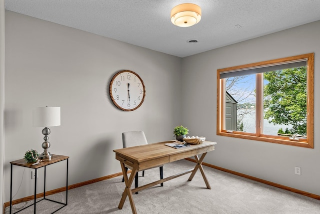 3868 Green Heights Trl SW, Prior Lake, MN 55372 - office with light colored carpet and a textured ceiling