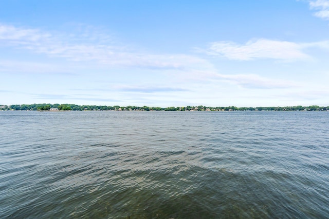 3868 Green Heights Trl SW, Prior Lake, MN 55372 - water view