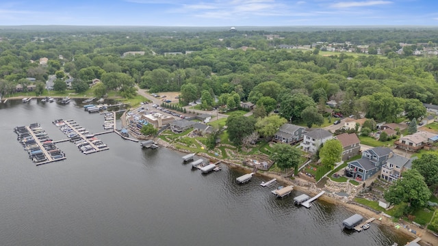 3868 Green Heights Trl SW, Prior Lake, MN 55372 - bird's eye view of a large body of water