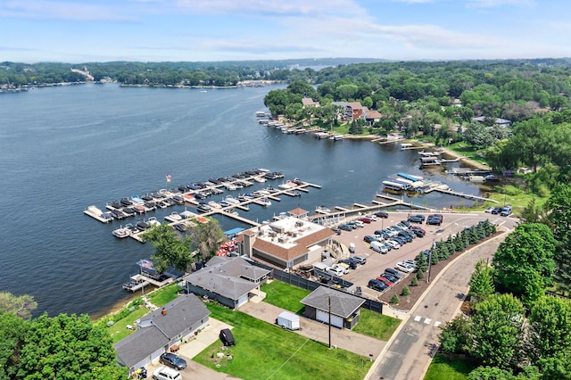 3868 Green Heights Trl SW, Prior Lake, MN 55372 - drone / aerial view of a nearby body of water and numerous boat docks