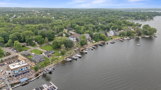 3868 Green Heights Trl SW, Prior Lake, MN 55372 - bird's eye view of a large body of water and a forest