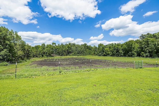 18504 Cable Ave, Lester Prairie, MN 55354 - photo 73