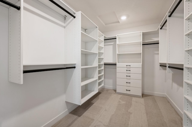 20141 63rd Ave, Corcoran, MN 55340 - walk in closet featuring light colored carpet