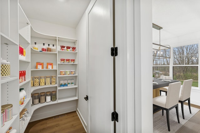 20141 63rd Ave, Corcoran, MN 55340 - view of pantry