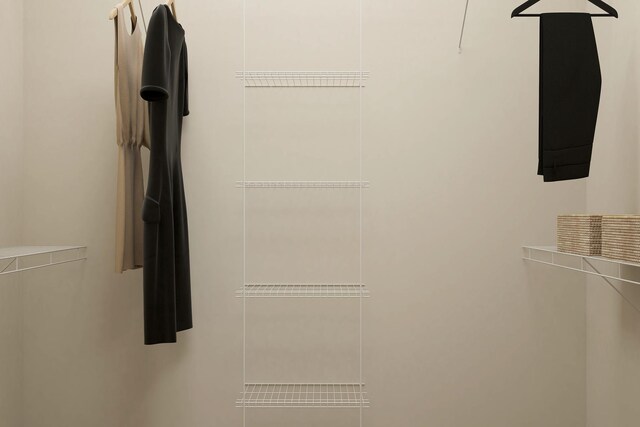 18736 Ivanhoe St NW, Elk River, MN 55330 - view of walk in closet