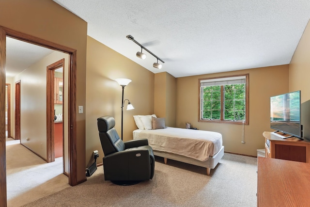 2657 Valley View Ln, New Brighton, MN 55112 - bedroom featuring light colored carpet, rail lighting, and a textured ceiling