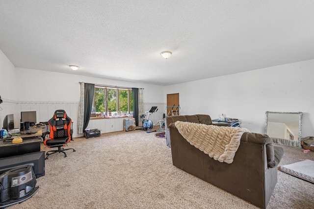 132 Middle School Dr, Saint Croix Falls, WI 54024 - carpeted living area featuring an office area and a textured ceiling