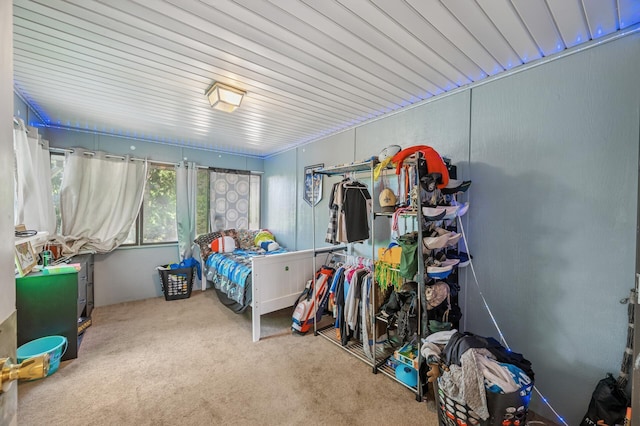 132 Middle School Dr, Saint Croix Falls, WI 54024 - bedroom with carpet flooring