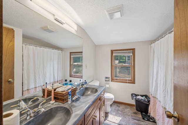 132 Middle School Dr, Saint Croix Falls, WI 54024 - bathroom with toilet, double vanity, a textured ceiling, baseboards, and vaulted ceiling
