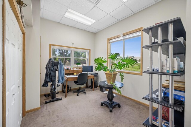 132 Middle School Dr, Saint Croix Falls, WI 54024 - office area with carpet, baseboards, and a paneled ceiling