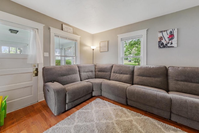 1039 9th Ave SW, Faribault, MN 55021 - living room featuring wood finished floors