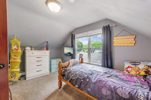 1039 9th Ave SW, Faribault, MN 55021 - bedroom with lofted ceiling and carpet