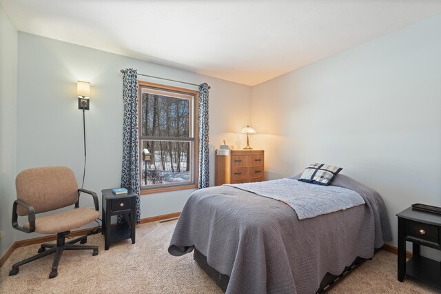 W6511 Andys Dr, Minong, WI 54859 - photo 43