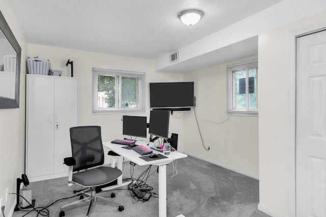 495 Saint Anthony Ave, Saint Paul, MN 55103 - office space featuring carpet and a textured ceiling