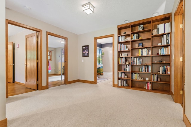10390 Fenner Ave SE, Franklin Twp, MN 55328 - unfurnished room with light carpet and baseboards