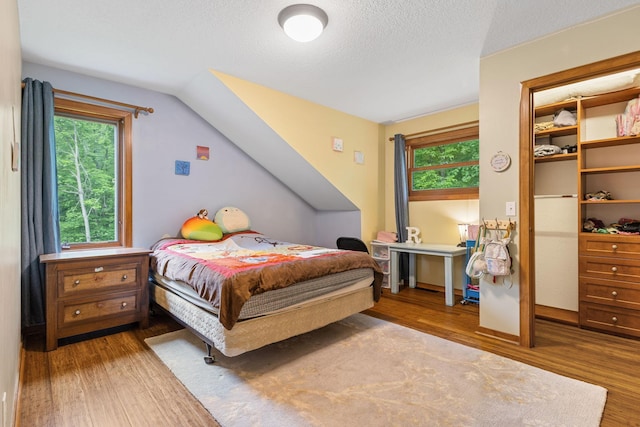 10390 Fenner Ave SE, Franklin Twp, MN 55328 - bedroom with wood finished floors, multiple windows, and a textured ceiling