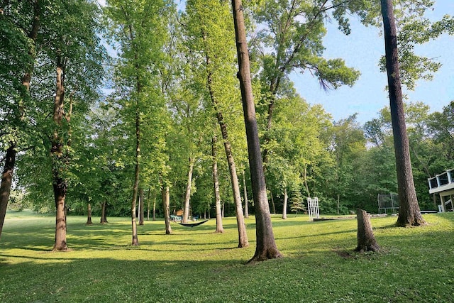 10390 Fenner Ave SE, Franklin Twp, MN 55328 - view of community with a yard