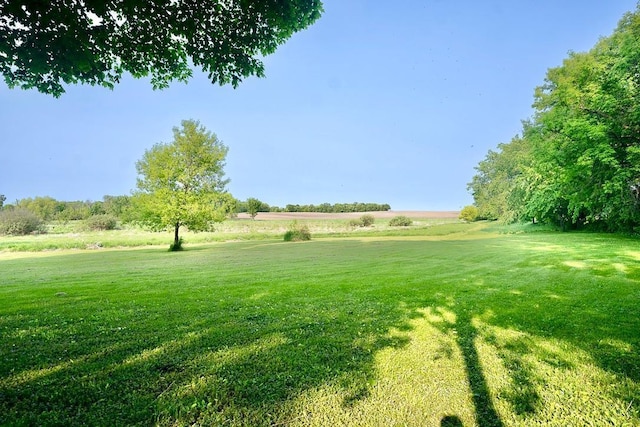 10390 Fenner Ave SE, Franklin Twp, MN 55328 - view of green lawn