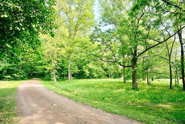 10390 Fenner Ave SE, Franklin Twp, MN 55328 - view of road featuring a forest view
