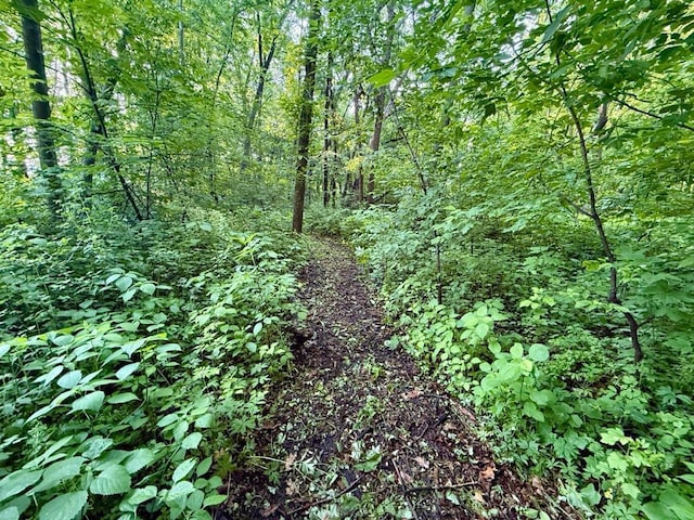 10390 Fenner Ave SE, Franklin Twp, MN 55328 - view of tree filled area